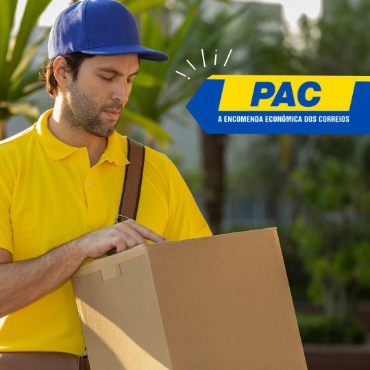 Leia mais sobre o artigo Qual a forma de envio dos produtos adquiridos na loja?